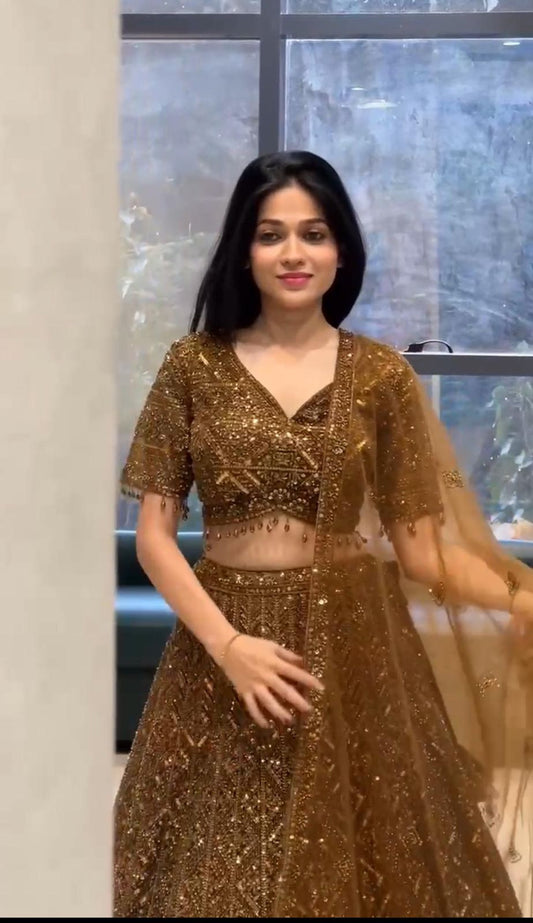 Lehenga en broderie de paillettes