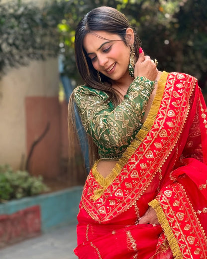 Sari en Organza pur et doux