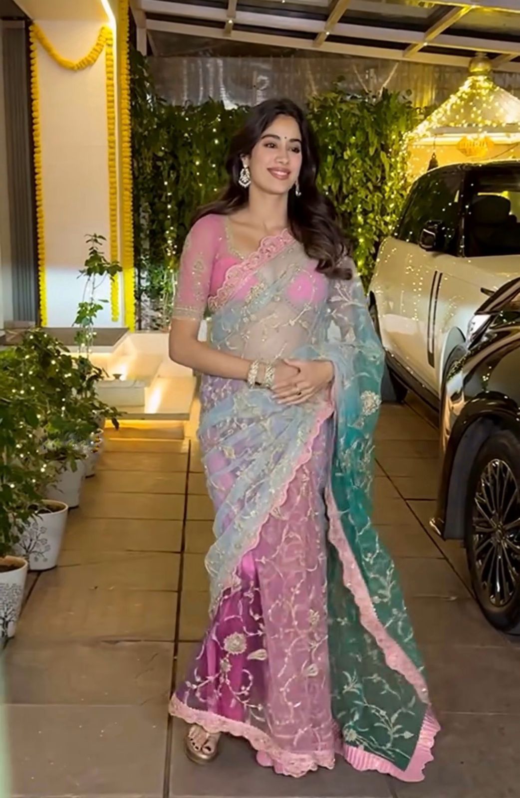 Tiger silk sari