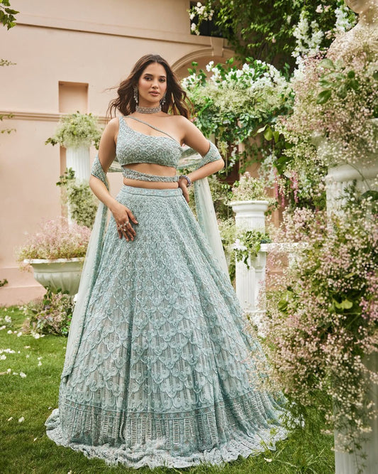 Lehenga en résille premium ornée de magnifiques broderies