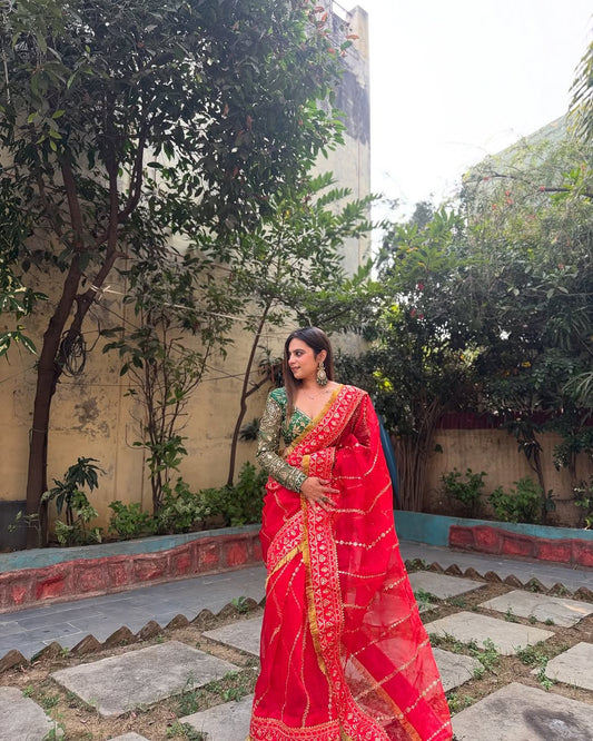 Sari en Organza pur et doux