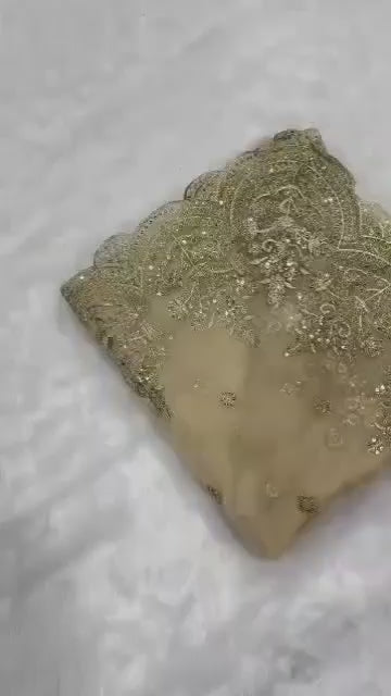 Sari élégant pour toutes les occasions