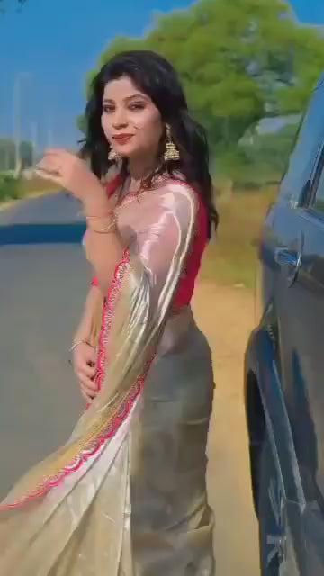 Sari with Penthar lace